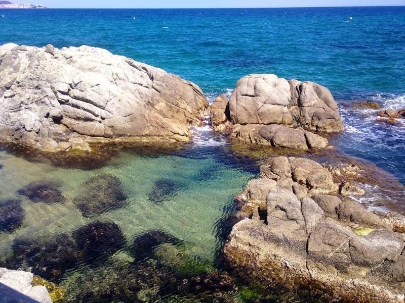 Hotel Cap Roig & Spa By Brava Hoteles Кастел Пладжа де Аро Екстериор снимка